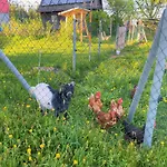 Apartamento Süßes Häusle *