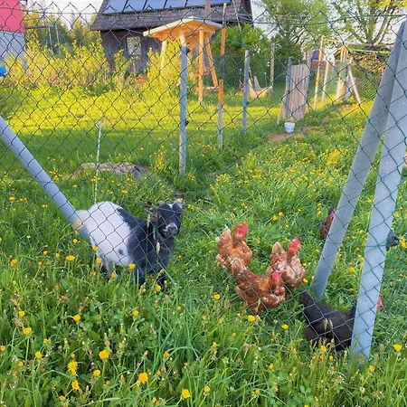 Apartamento Süßes Häusle *