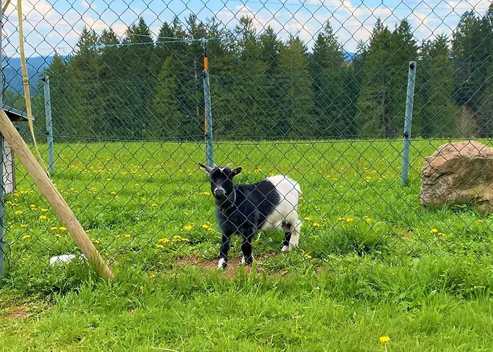 Lägenhet Suessen Haeusle Breitnau